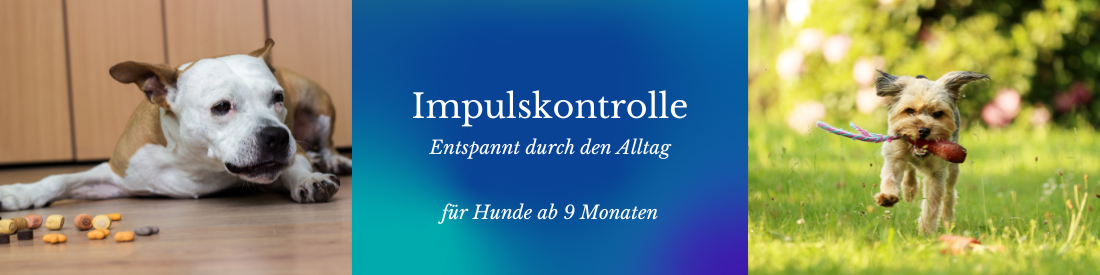 Impulskontrolle - Entspannt durch den Alltag