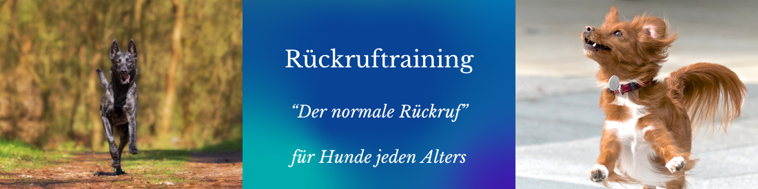 Der normale Rückruf