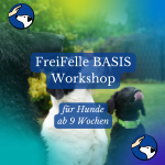 FreiFelle-BASIS-Workshop