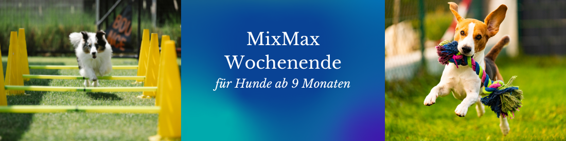 Mix-Max: 3 Beschäftigungsangebote an 2 Tagen
