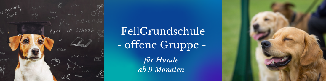 FellGrundschule im Rotationsprinzip