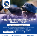 Hundeführerschein 2.0 – jetzt Platz sichern!