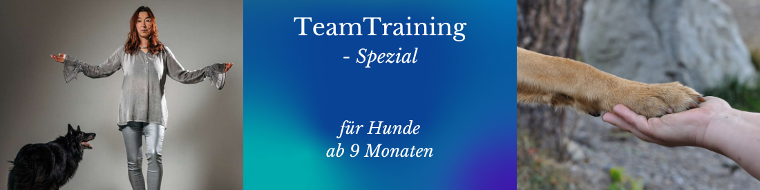 TeamTraining - Spezial