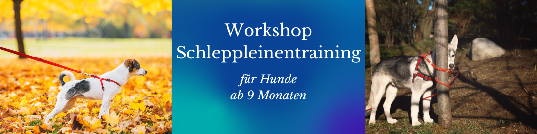 Workshop: SchleppleinenTraining