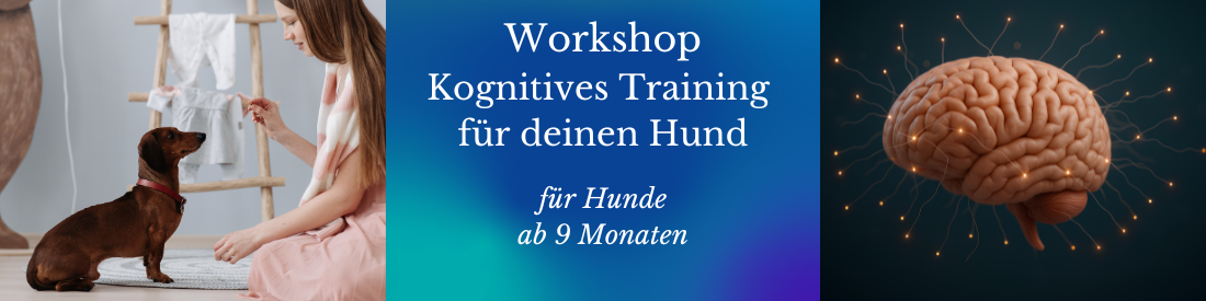 Workshop Kognitives Training für deinen Hund