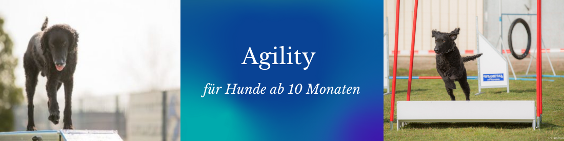 Agility