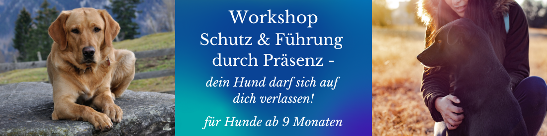 Workshop: Schutz & Führung durch Präsenz - dein Hund darf sich auf dich verlassen!