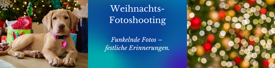 Weihnachtsfotoshooting - Funkelnde Fotos – festliche Erinnerungen.