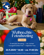 Weihnachtsfotoshooting