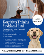 Workshop: Kognitives Training für deinen Hund