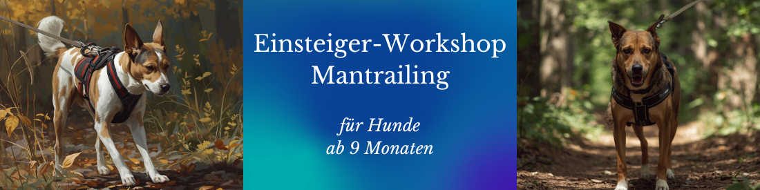 Mantrail-Einsteigerworkshop – dein Start ins echte Mantrailing
