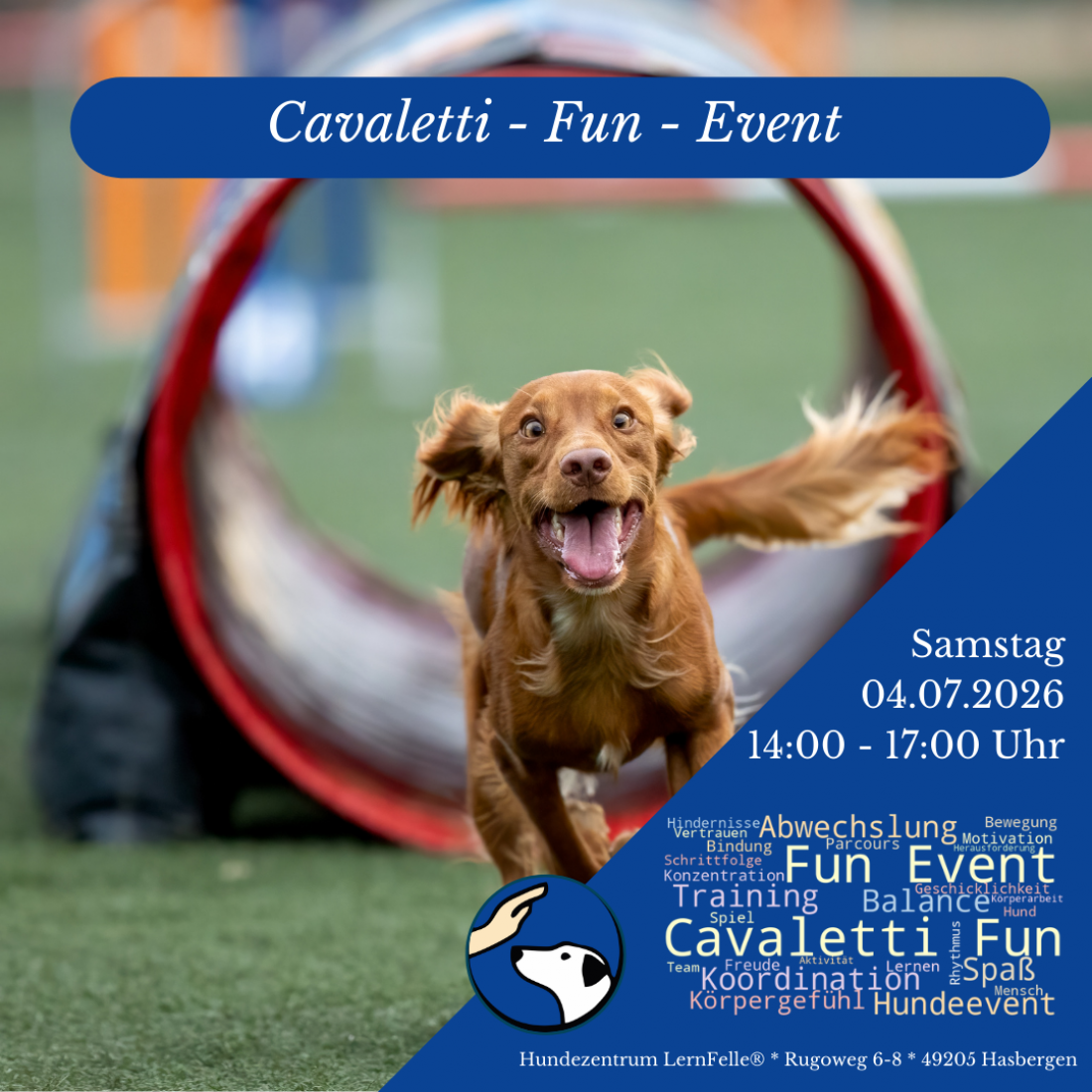 Cavaletti-Fun-Event