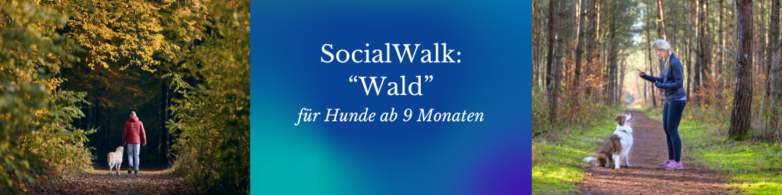 SocialWalk „Wald“ – Naturnahe Begegnungen für Hunde ab 9 Monaten