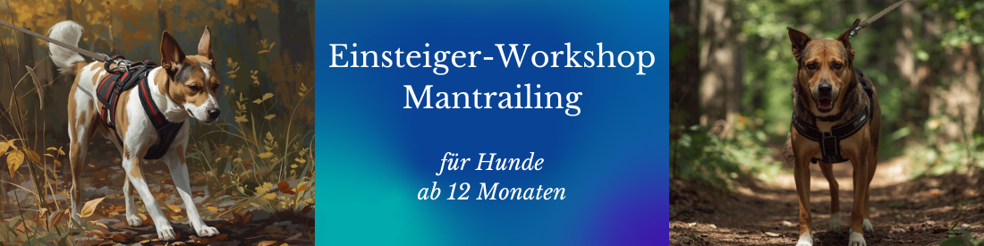 Mantrail-Einsteigerworkshop – dein Start ins echte Mantrailing