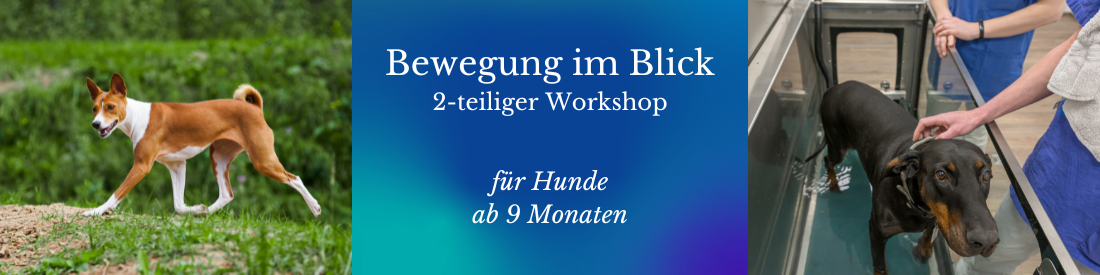 Workshop: Bewegung im Blick