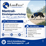 Mantrailing - EinsteigerWorkshop
