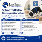 SchnüffelFelle - EinsteigerWorkshop