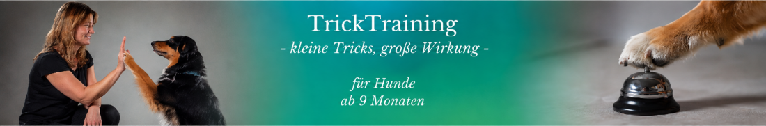 TrickTraining