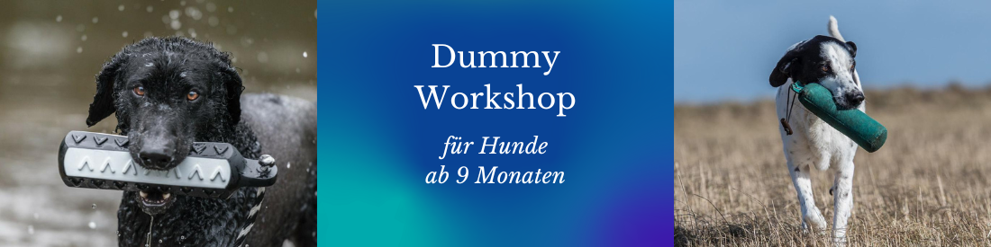 Dummy-Workshop auf abwechslungsreichem Naturgelände