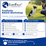 FreiFelle-BASIS-Workshop