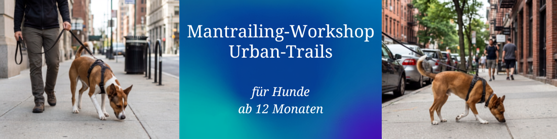 Urban-Trails – Mantrailing mitten im echten Leben