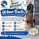 Urban-Trails – Mantrailing mitten im echten Leben