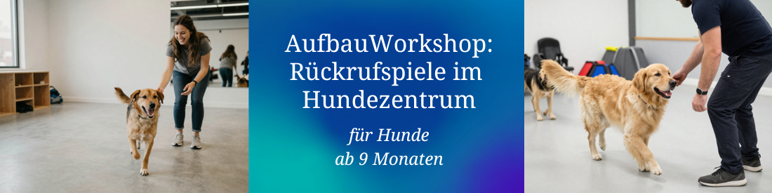 Aufbauworkshop: Rückrufspiele im Hundezentrum