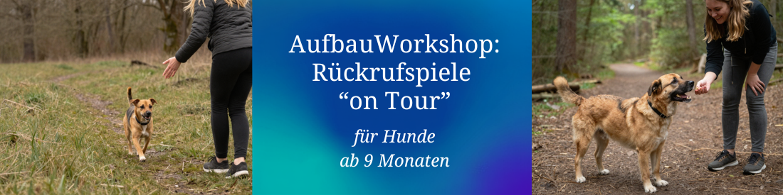 Aufbauworkshop: Rückrufspiele on tour