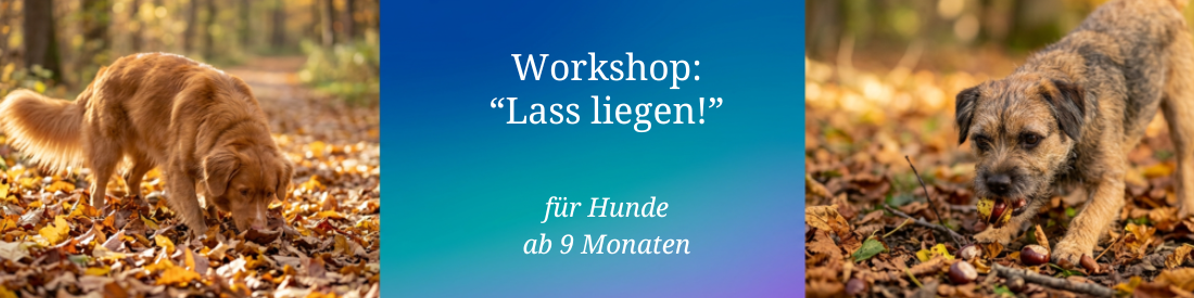 Workshop: Lass liegen!