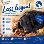 Workshop: Lass liegen!