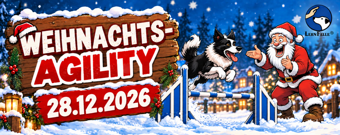 Weihnachtsagility im Hundezentrum LernFelle®