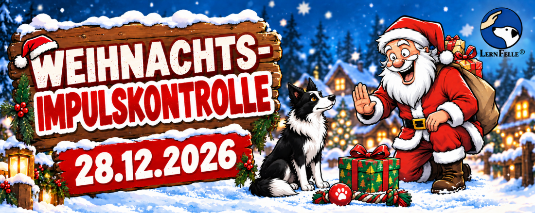 Weihnachts-ImpulsKontrolle bei den LernFellen