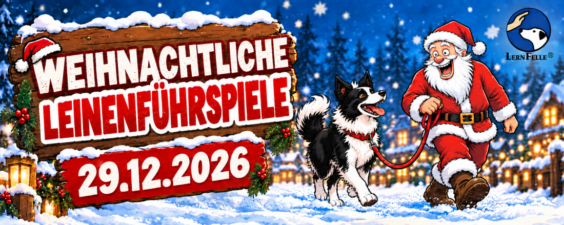 Weihnachtliche Leinenführspiele