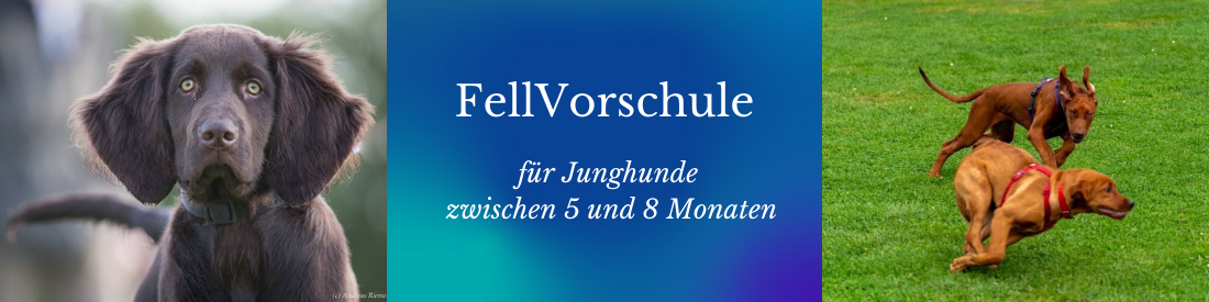 FellVorschule