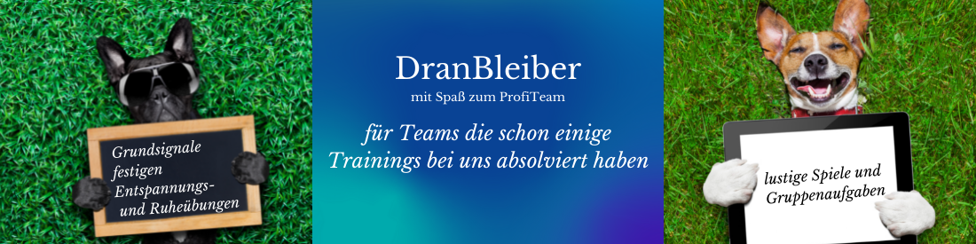 DranBleiber - mit Spaß zum ProfiTeam