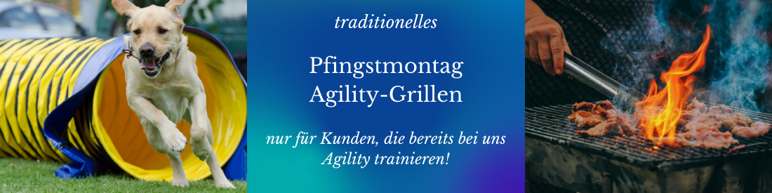 Traditionelles Pfingstmontags-Agility-Grillen