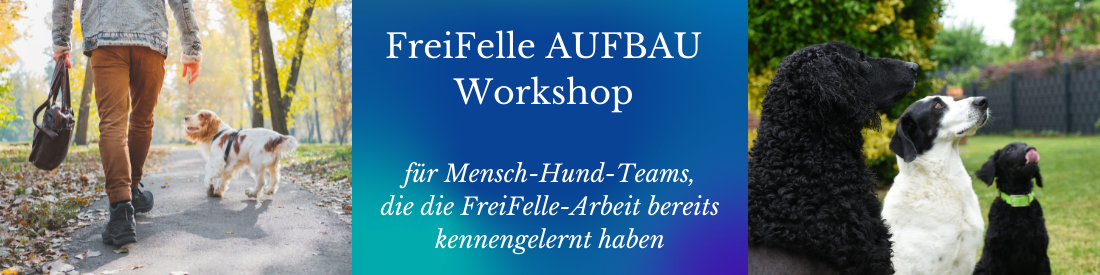 FreiFelle - AUFBAU - Workshop