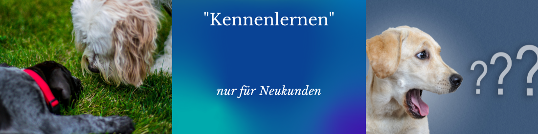 Kennenlernen (nur für Neukunden)