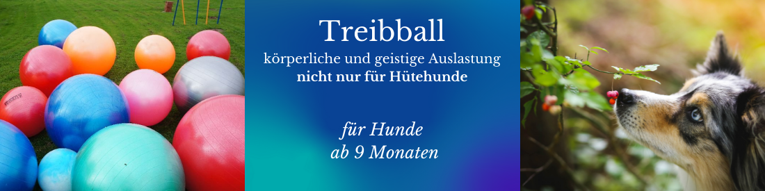 Treibball