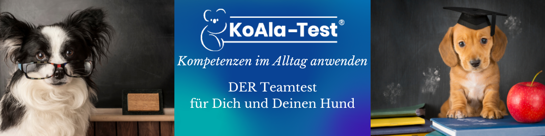 Hundeführerschein 2.0 - KoAla-Test® - Kompetenzen im Alltag anwenden
