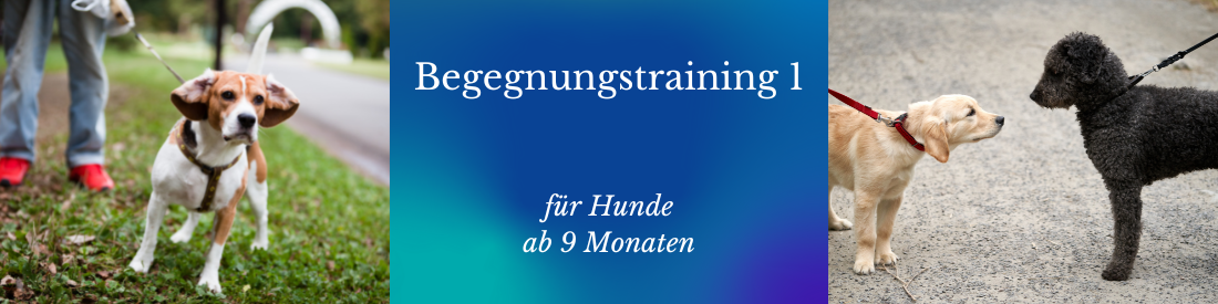 Begegnungstraining I