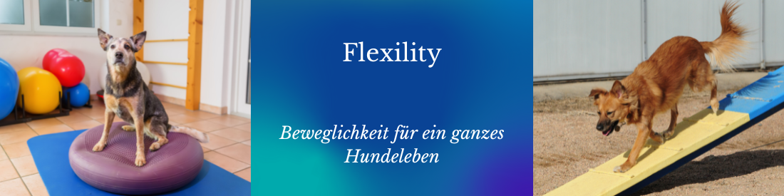 Flexility