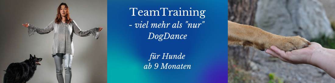 TeamTraining - mehr als nur DogDance