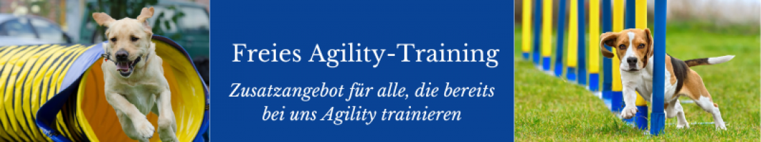 Freies Agility-Training