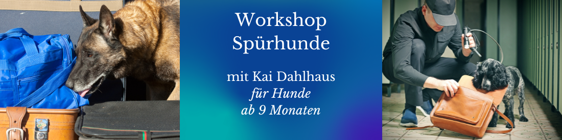 Workshop: Spürhunde mit Kai Dahlhaus