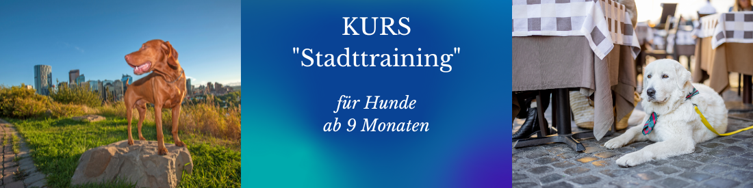 Kurs: StadtTraining