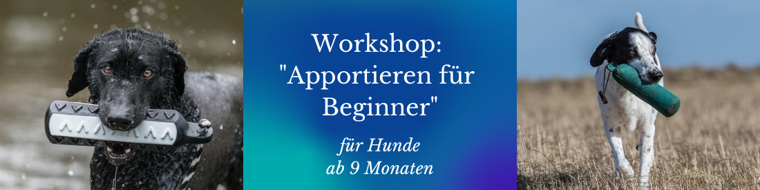 Workshop: Apportieren - BEGINNER