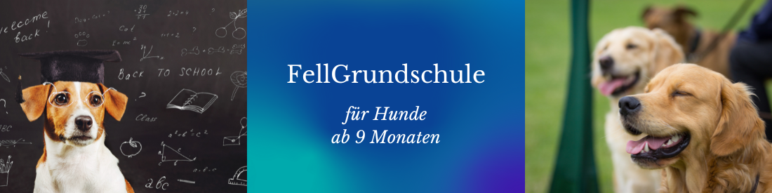 FellGrundschule