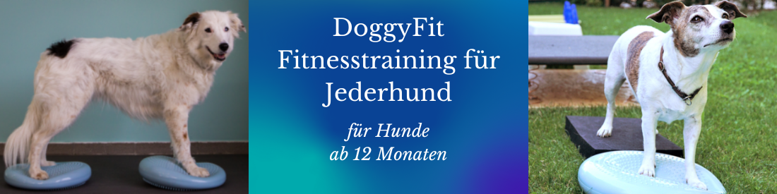 DoggyFit