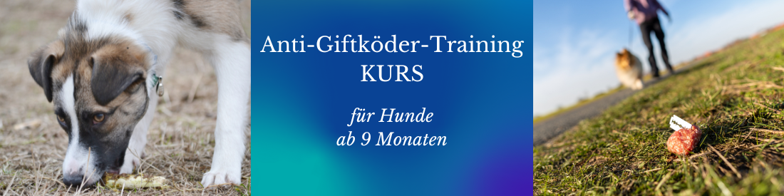 Anti-Giftköder-Training-KURS